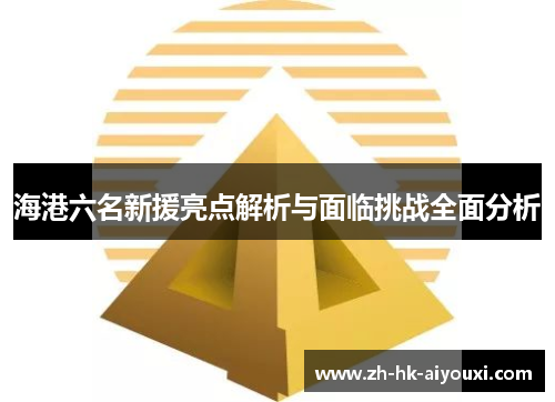 海港六名新援亮点解析与面临挑战全面分析