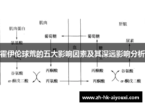 霍伊伦球荒的五大影响因素及其深远影响分析