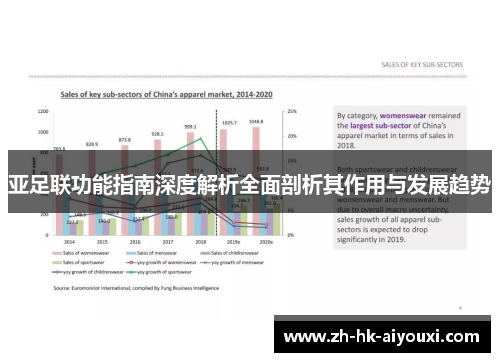 亚足联功能指南深度解析全面剖析其作用与发展趋势